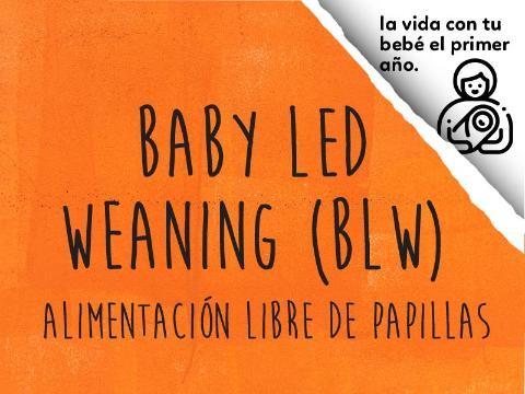 Baby Led Weaning (BLW). Alimentación Libre de Papillas